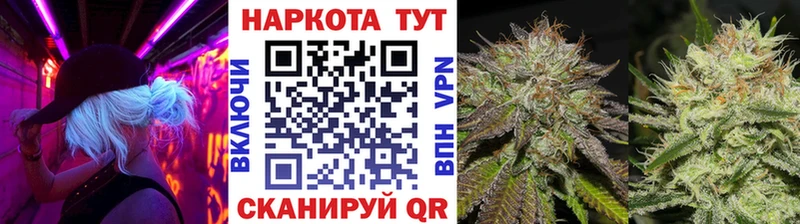 Альфа ПВП Александровское
