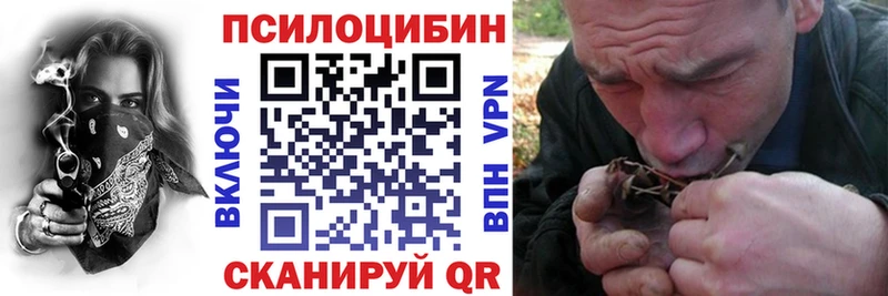 закладки  kraken рабочий сайт  Галлюциногенные грибы GOLDEN TEACHER  Александровское 